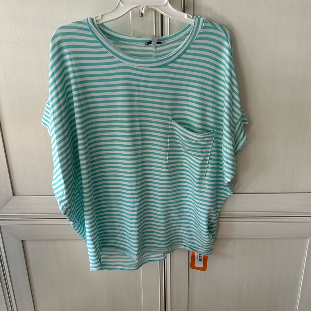 White Birch Aqua Striped Short Sleeve Top